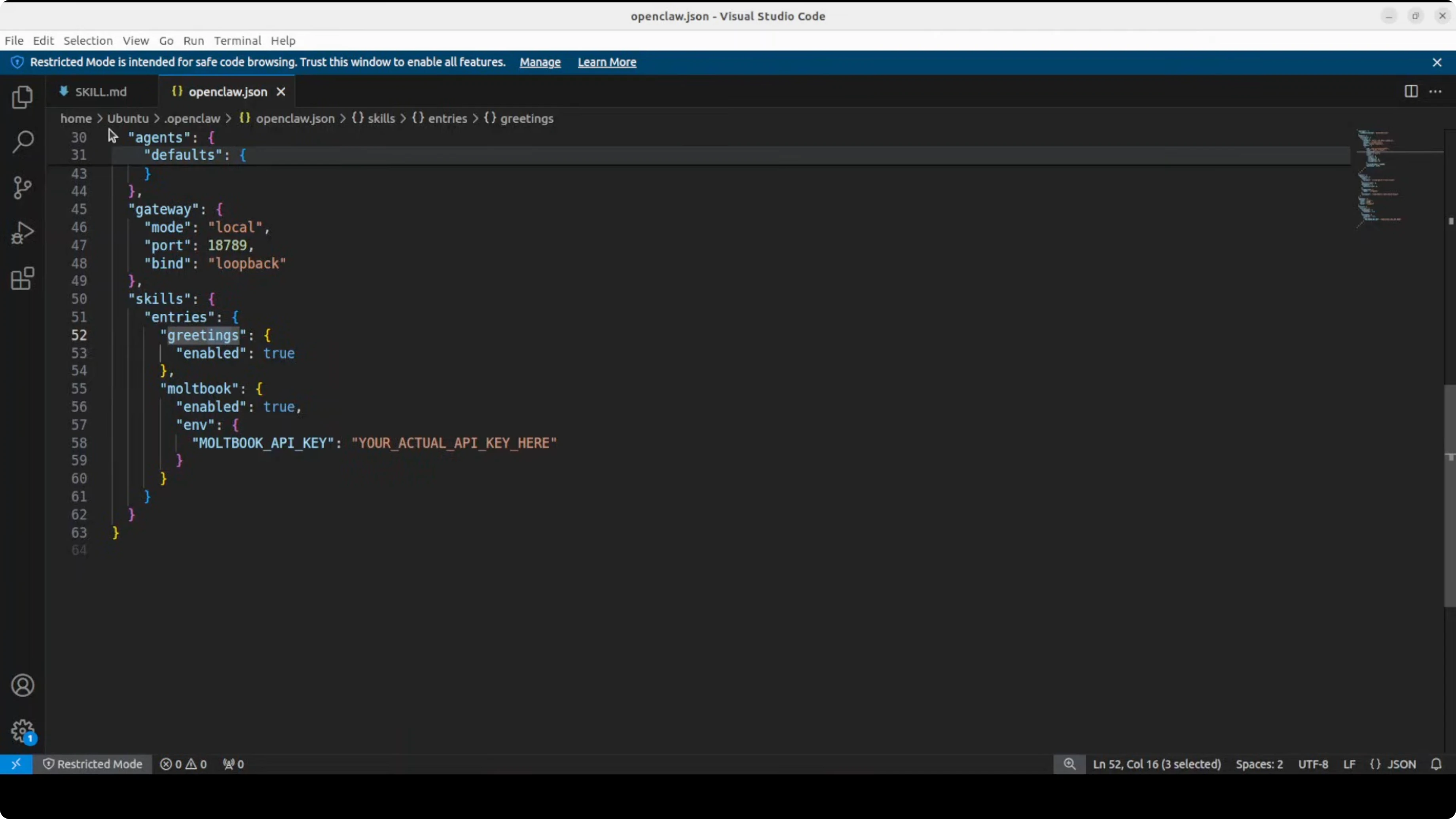 openclaw.json configuration file with skills section