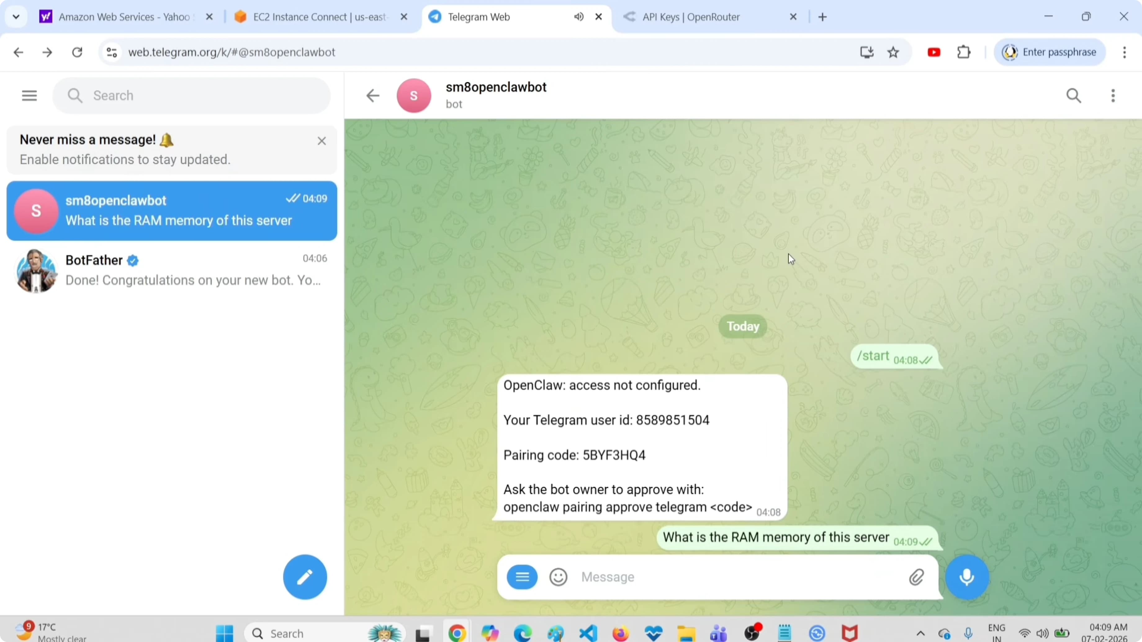Test del bot Telegram con risposta sui dettagli della RAM del server