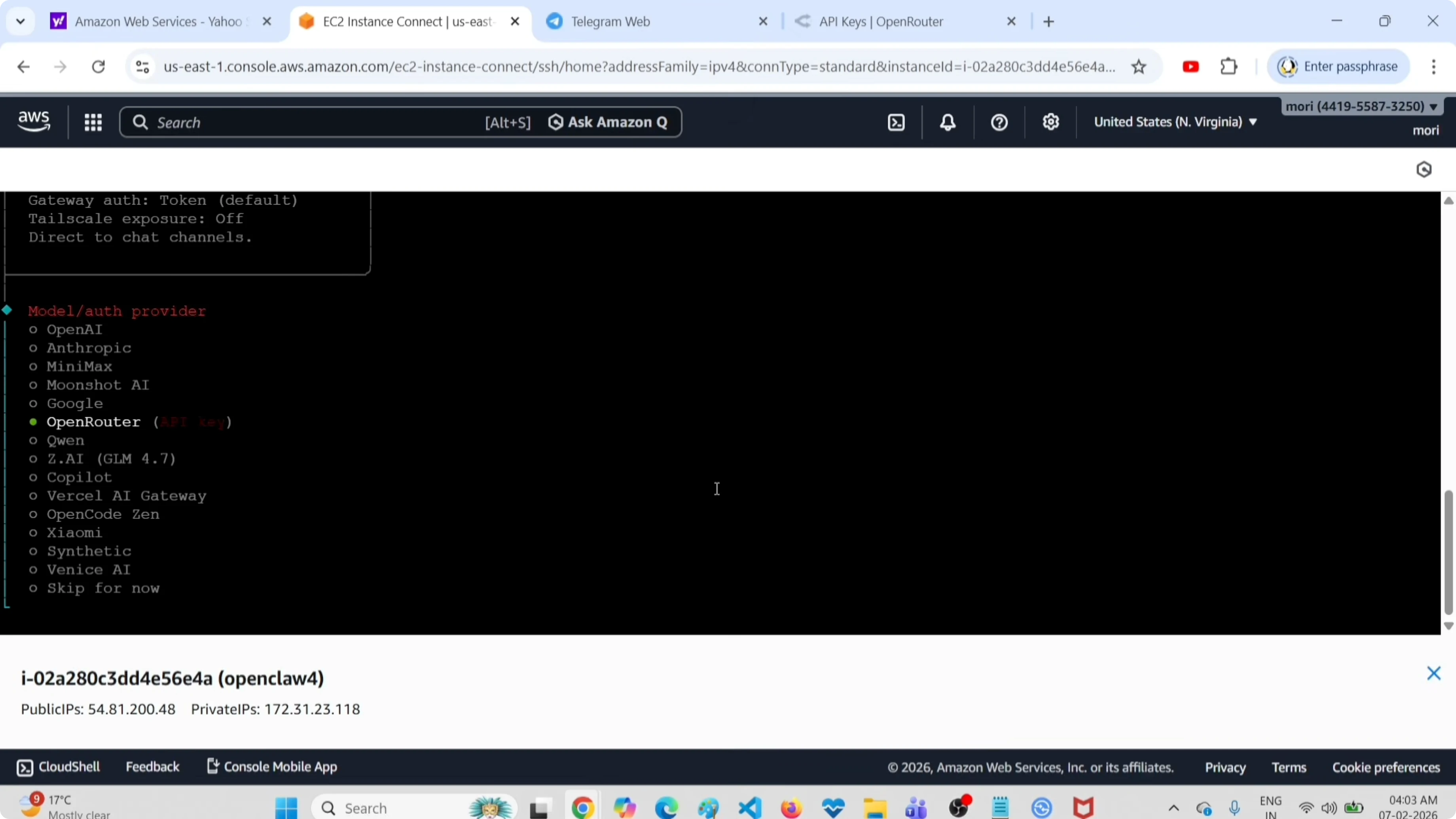 Selezione del provider OpenRouter nel wizard