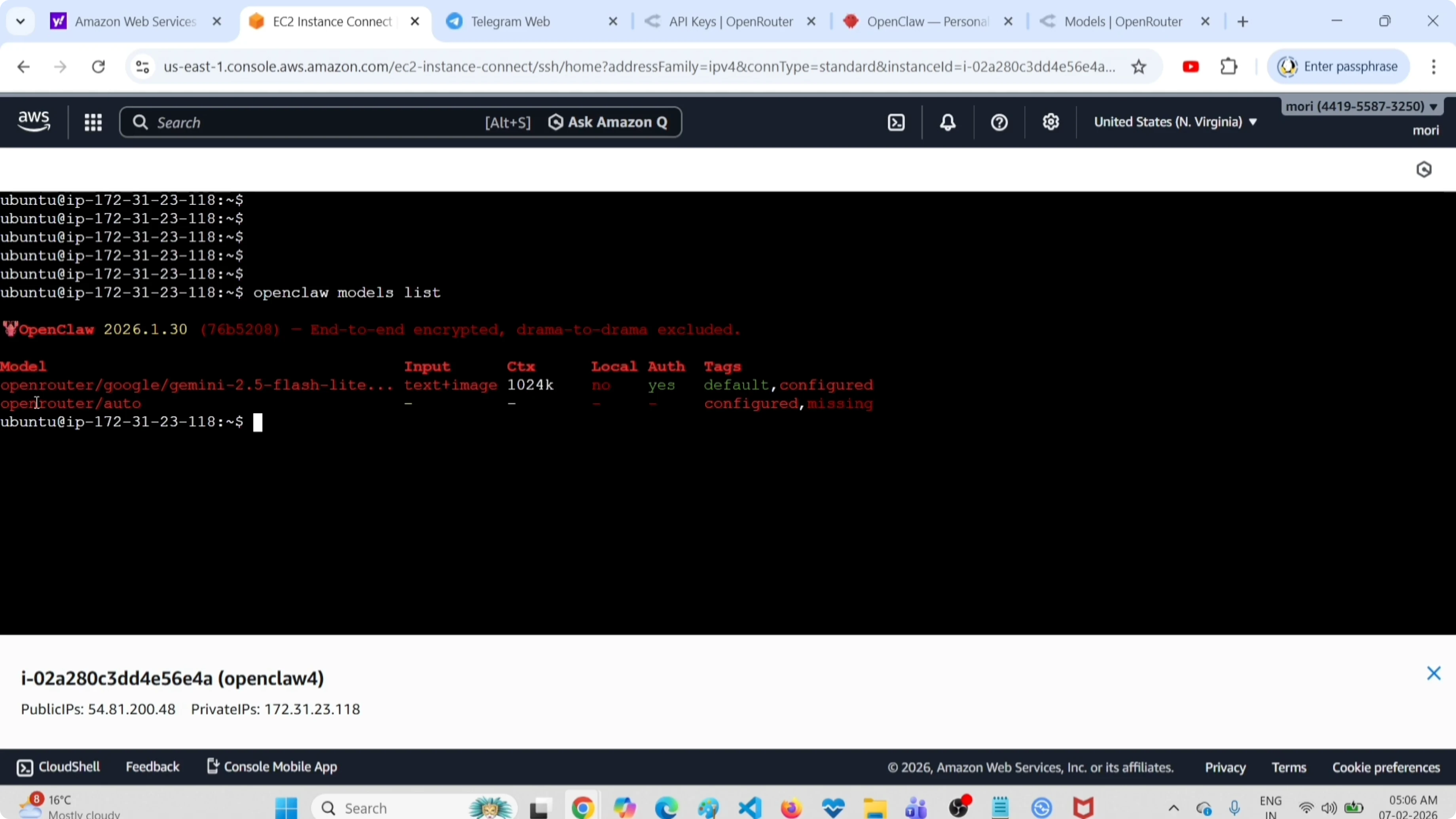 Agente OpenClaw che mostra la configurazione del modello corrente