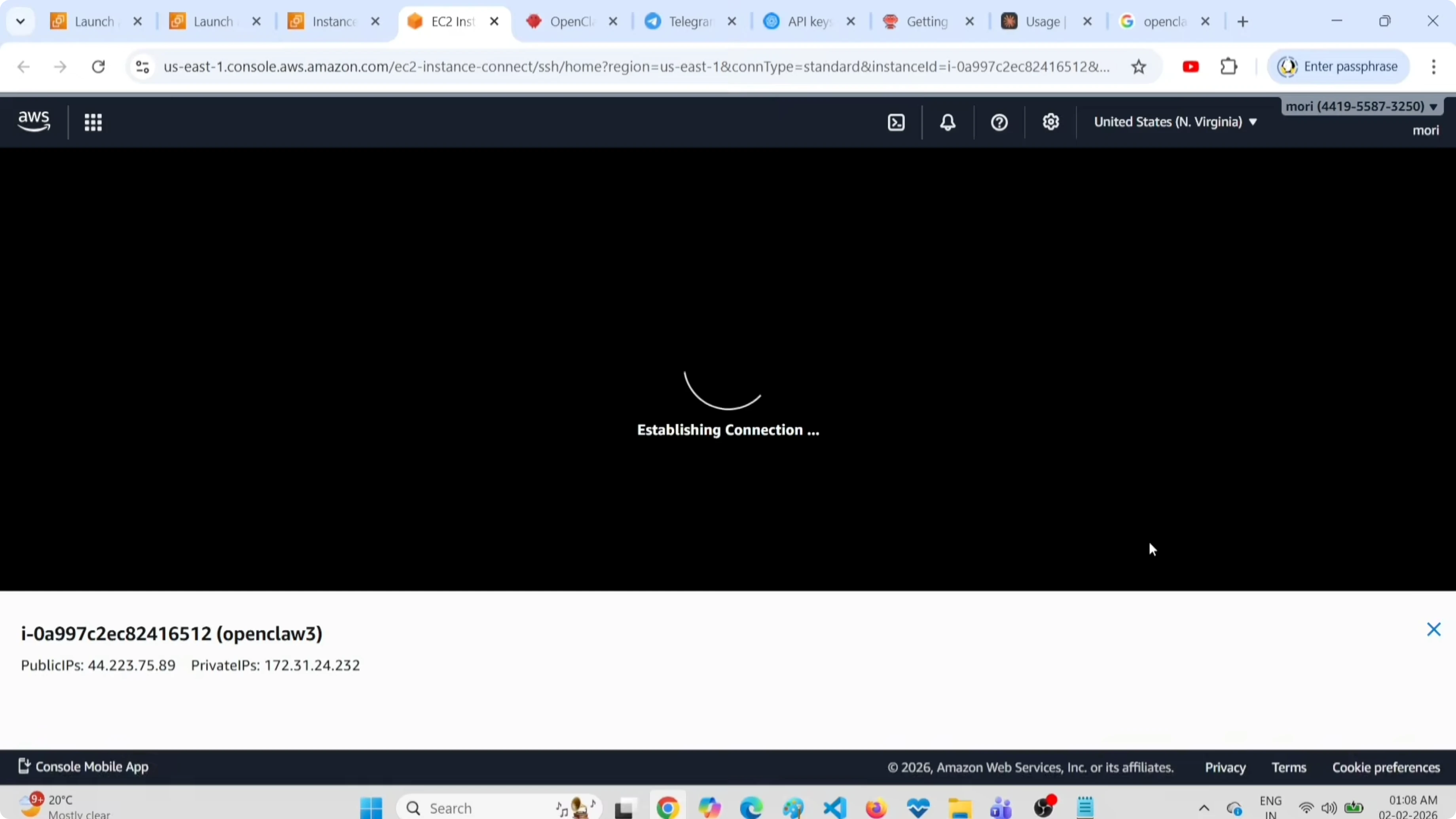 Terminale EC2 pronto per l'installazione di OpenClaw