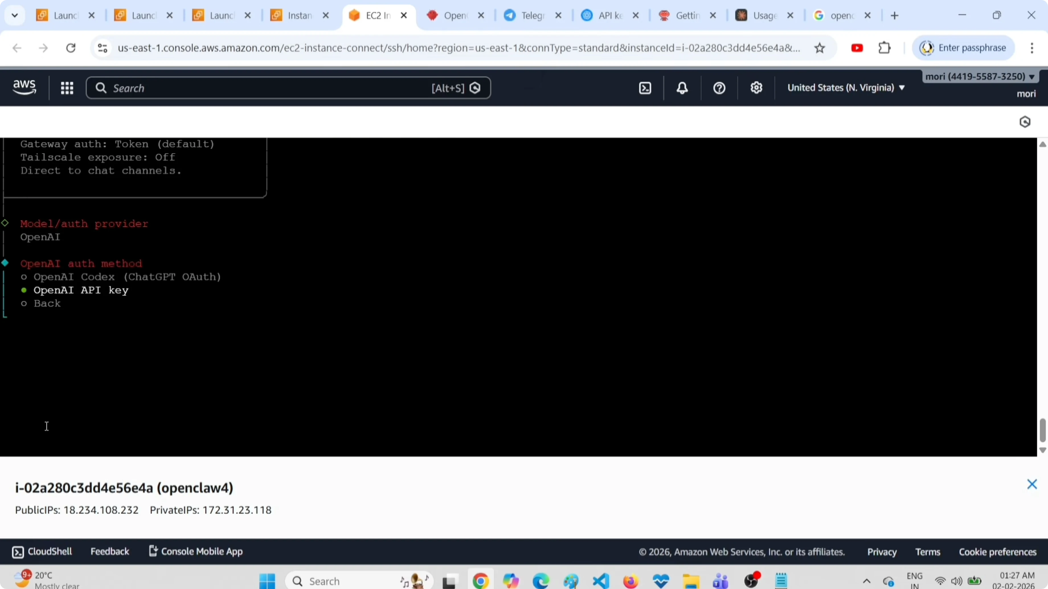 Selezione dell'interfaccia OpenAI e generazione della chiave API