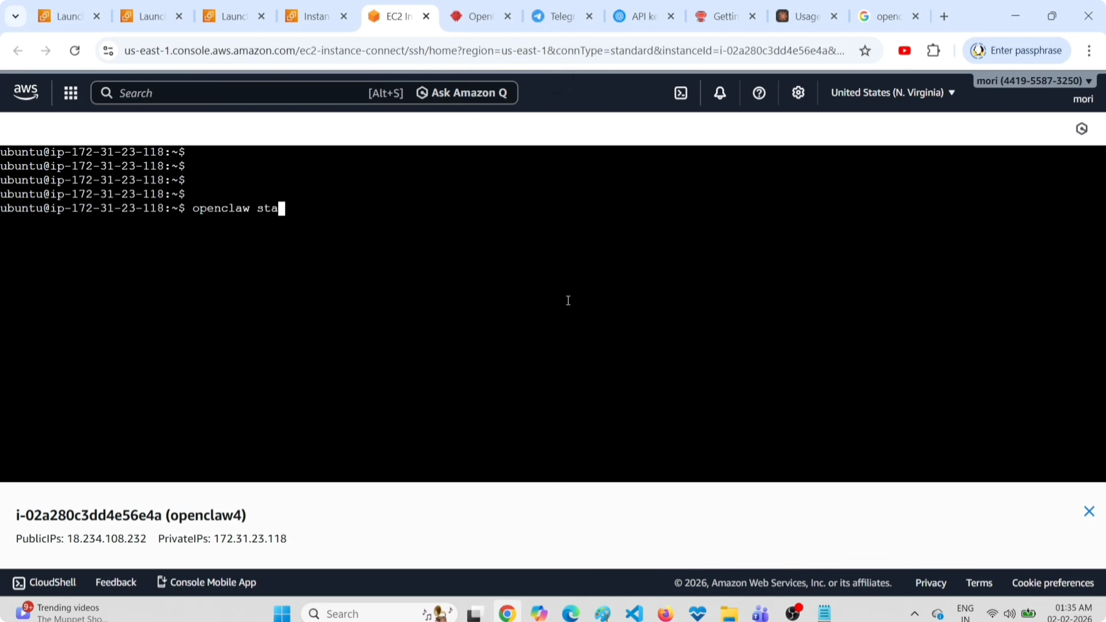 Output del comando openclaw status con canali e servizi in esecuzione