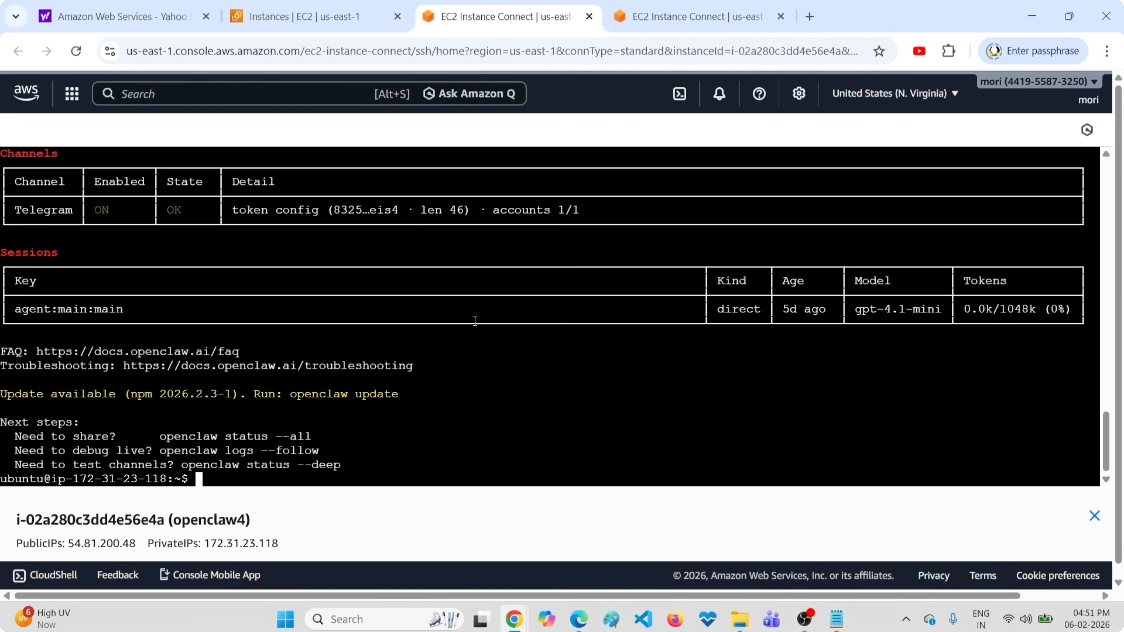 Output completo con dashboard URL, canali e modelli