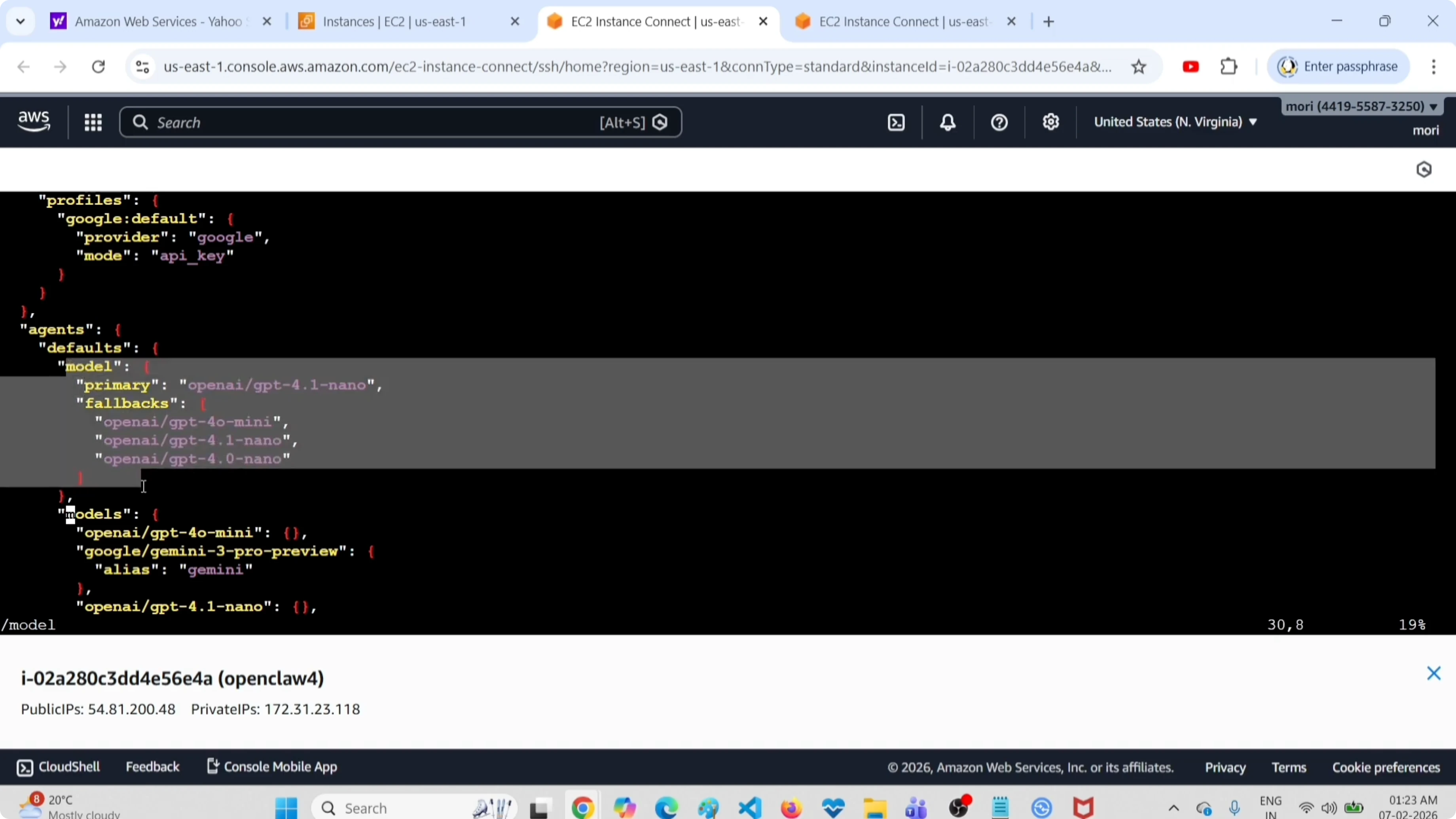 Array dei fallback models configurati