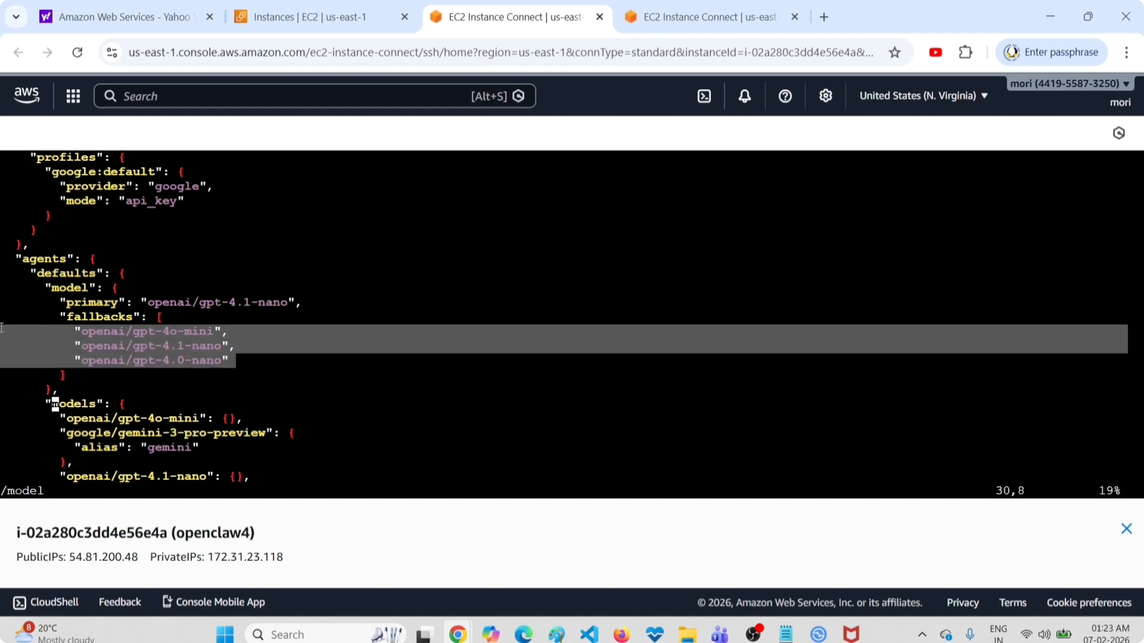 Models section in config file showing the primary model
