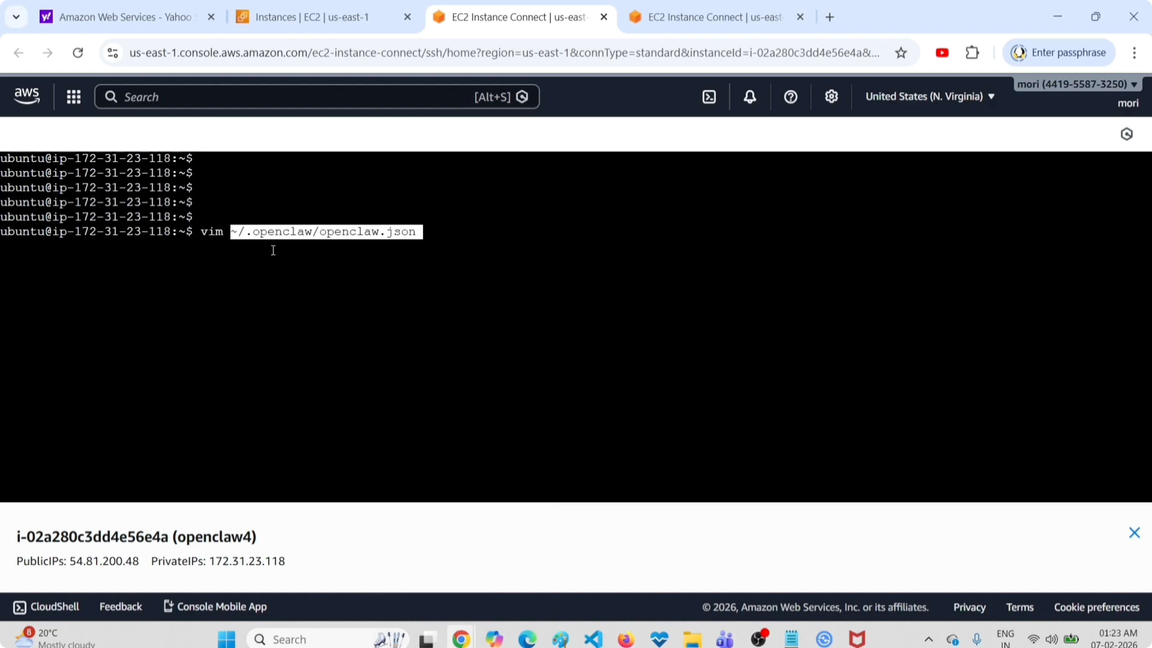 Apertura del file di configurazione OpenClaw con vim